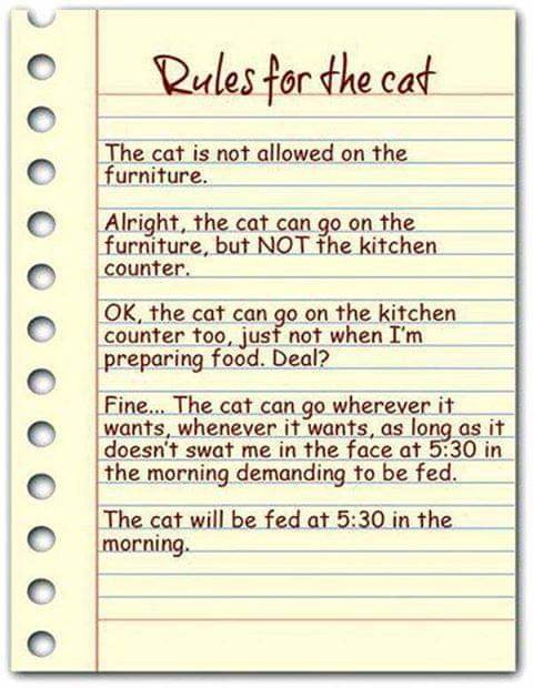 FB_IMG_1644799274354.jpg