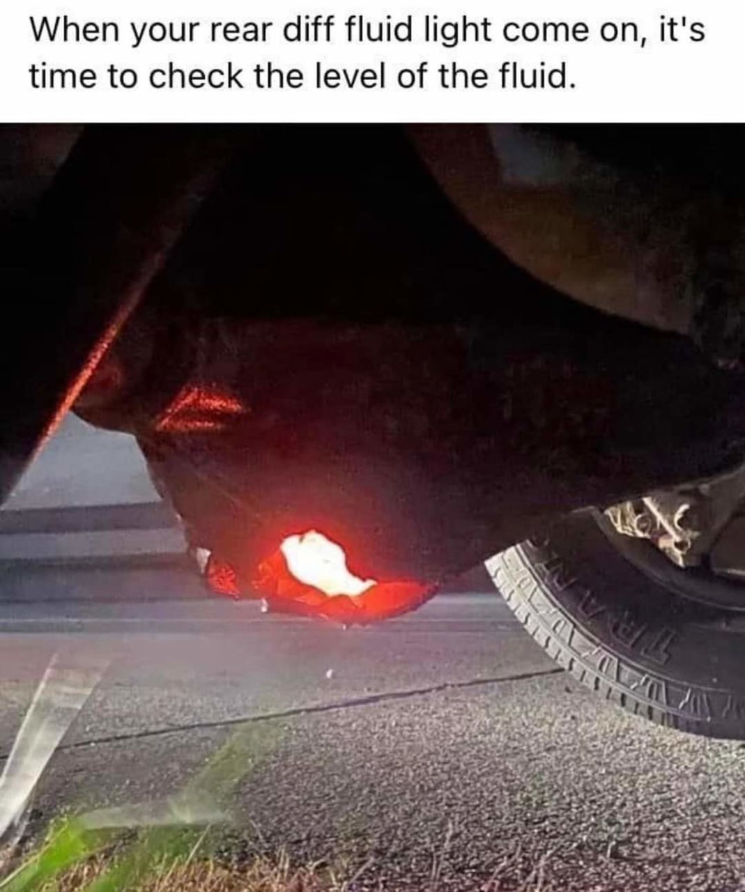 FB_IMG_1646277461263.jpg
