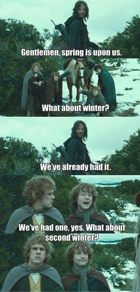 FB_IMG_1647403722044.jpg