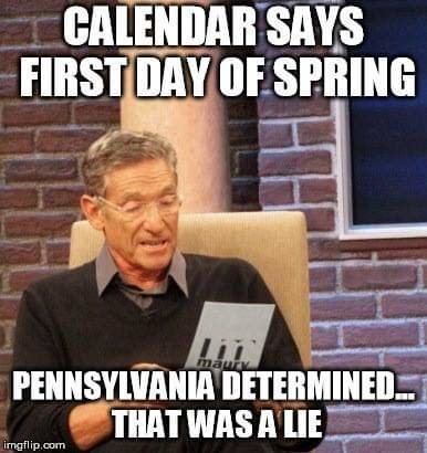 FB_IMG_1647749470834.jpg