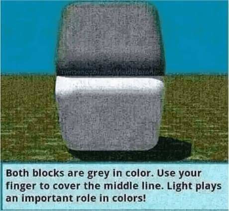 FB_IMG_1649882897542.jpg
