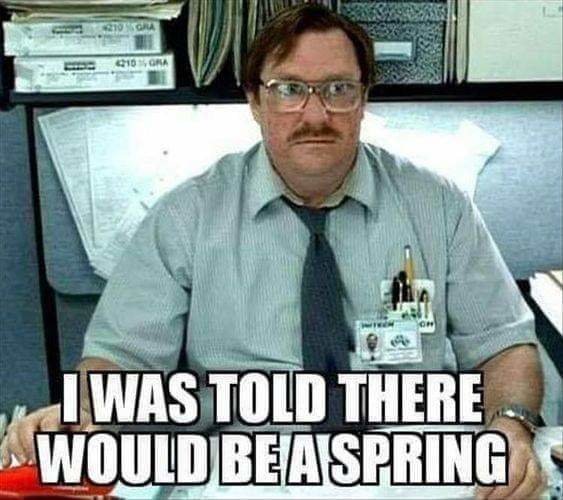 FB_IMG_1650168893229.jpg