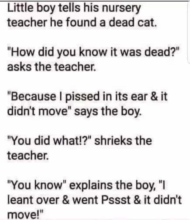 FB_IMG_1652794477242.jpg