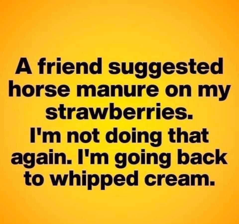 FB_IMG_1658742588301.jpg
