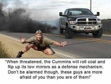 FB_IMG_1659566934540.jpg