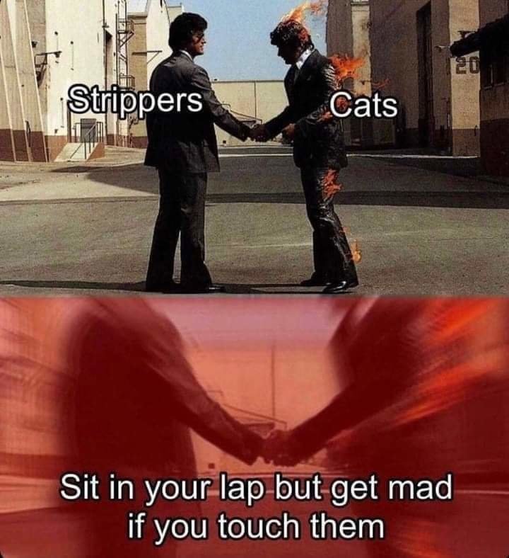 FB_IMG_1662153076366.jpg