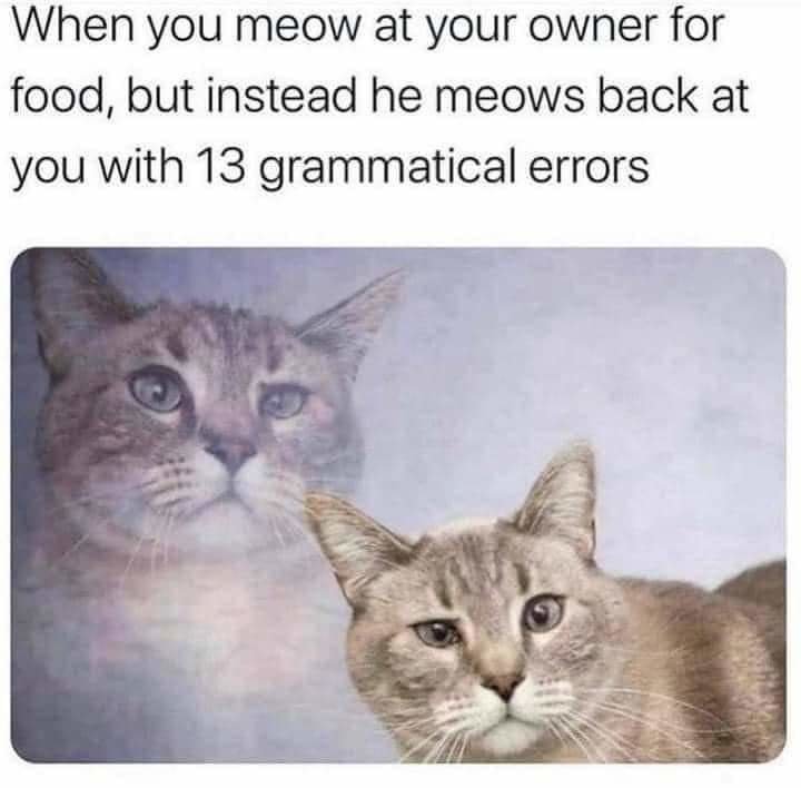 FB_IMG_1665105971854.jpg