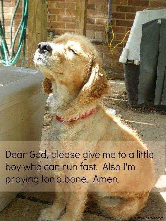 FB_IMG_1666067693655.jpg