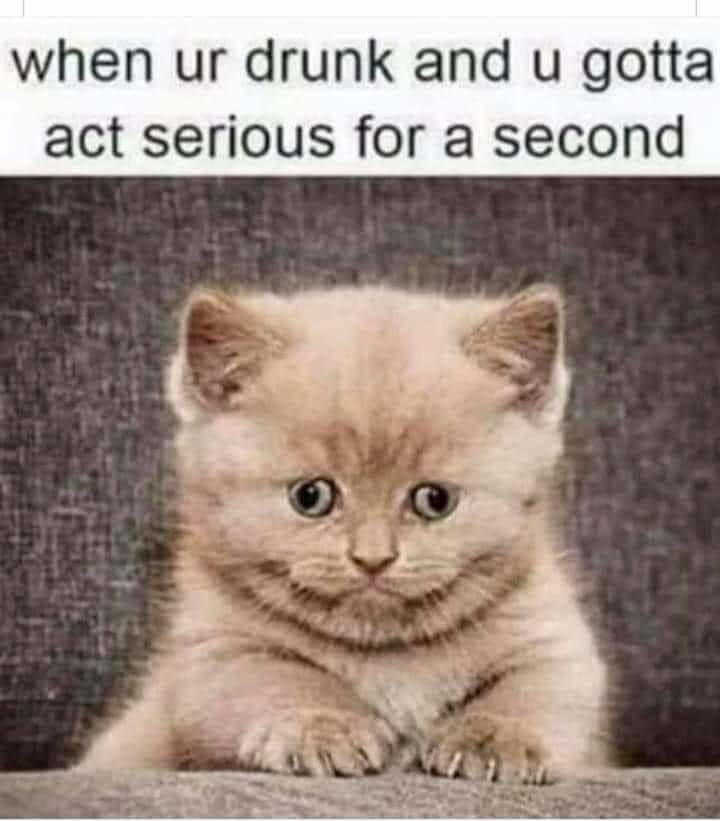 FB_IMG_1668129918990.jpg
