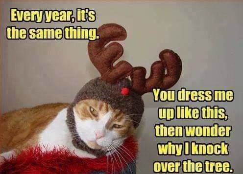 FB_IMG_1670884889781.jpg