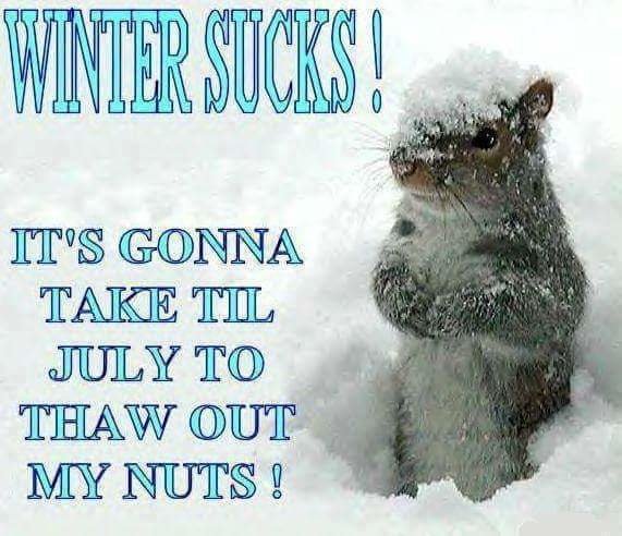 FB_IMG_1671426269061.jpg