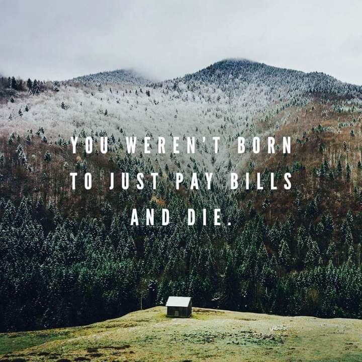 FB_IMG_1671898335296.jpg