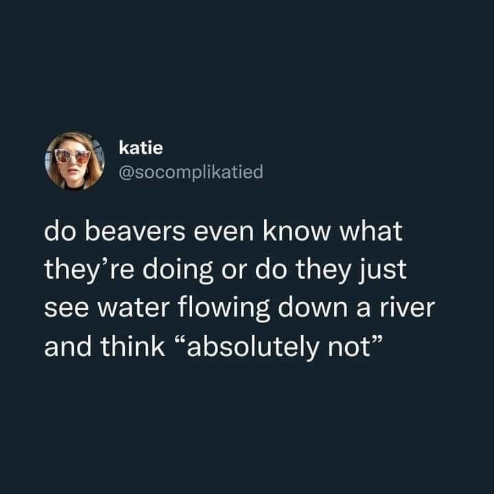 FB_IMG_1673393775077.jpg