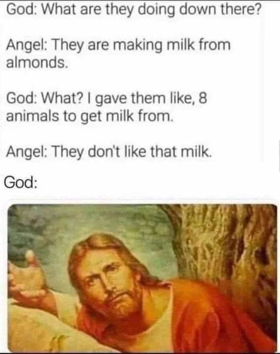 FB_IMG_1677429510713.jpg