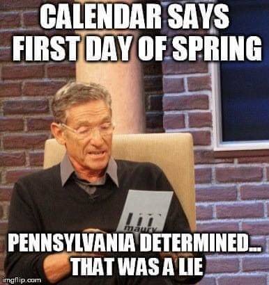 FB_IMG_1679313633457.jpg