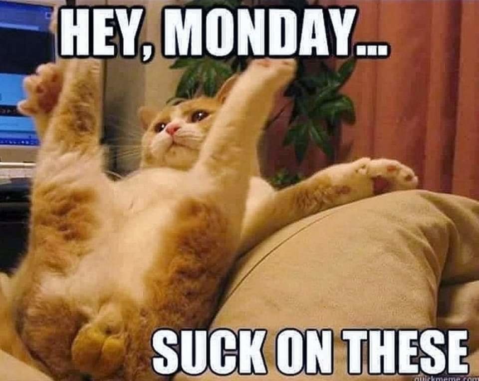 FB_IMG_1679325435223.jpg