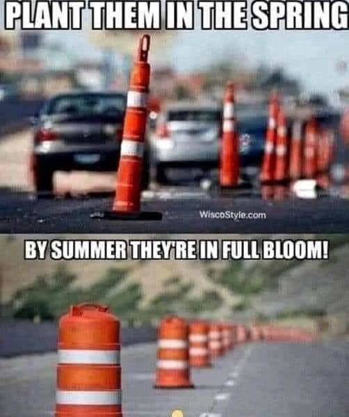 FB_IMG_1679575100913.jpg