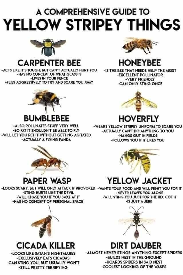 FB_IMG_1680710367465.jpg