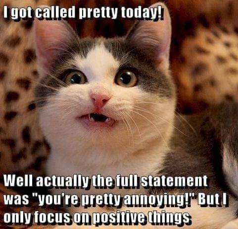 FB_IMG_1681301843966.jpg