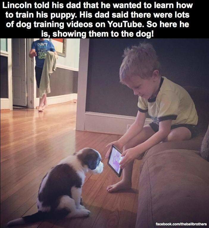 FB_IMG_1684706774974.jpg