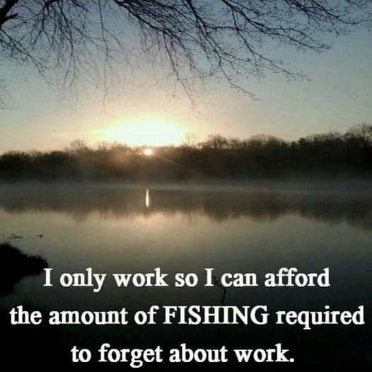 FB_IMG_1684896394298.jpg