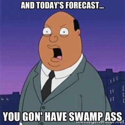 FB_IMG_1685199091924.jpg