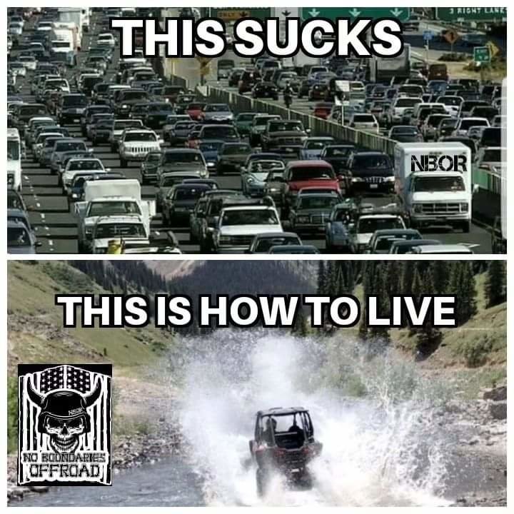 FB_IMG_1685319077415.jpg