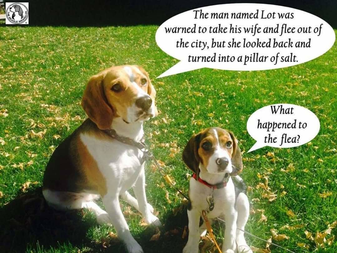 FB_IMG_1685636773540.jpg