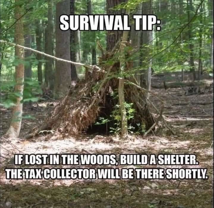 FB_IMG_1687801695158.jpg
