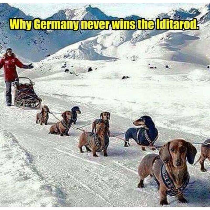 FB_IMG_1689134528921.jpg
