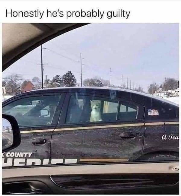 FB_IMG_1690231955246.jpg