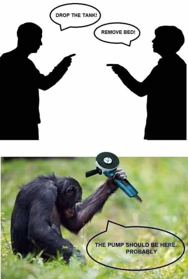 FB_IMG_1690689866325.jpg