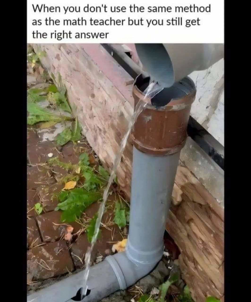 FB_IMG_1691002059204.jpg
