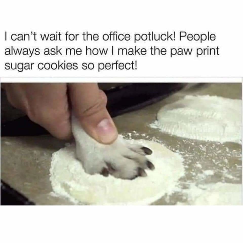 FB_IMG_1693066649643.jpg