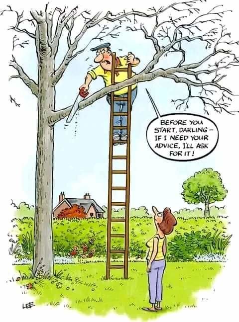 FB_IMG_1693066717716.jpg