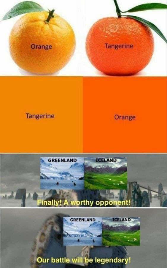 FB_IMG_1693446862401.jpg
