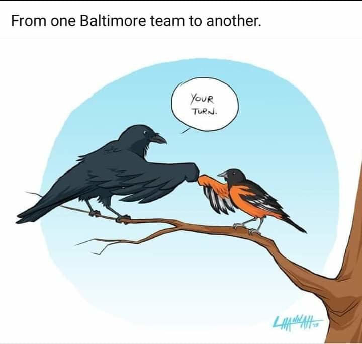 FB_IMG_1694459301503.jpg