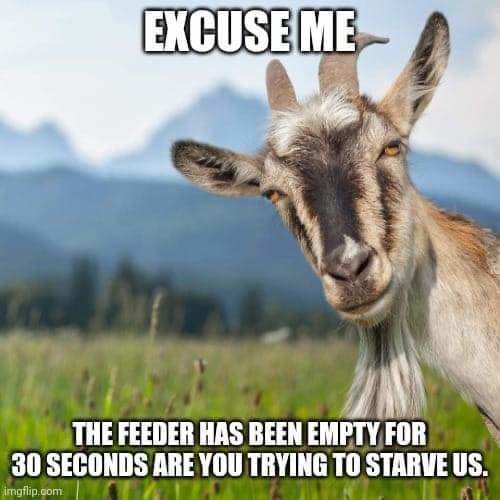 FB_IMG_1694712714066.jpg