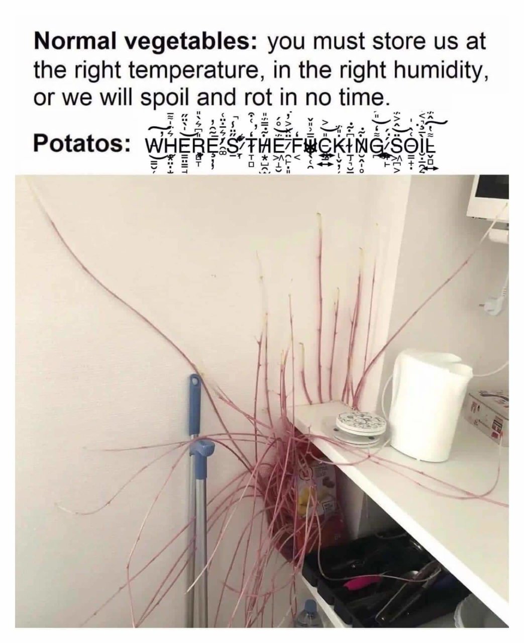 FB_IMG_1694990597771.jpg