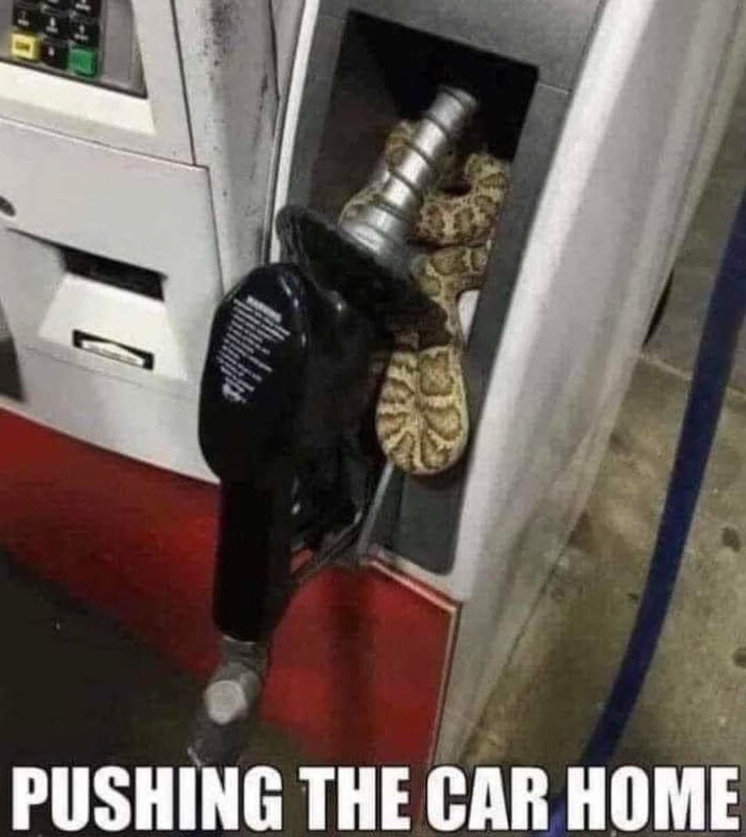 FB_IMG_1698013740667.jpg
