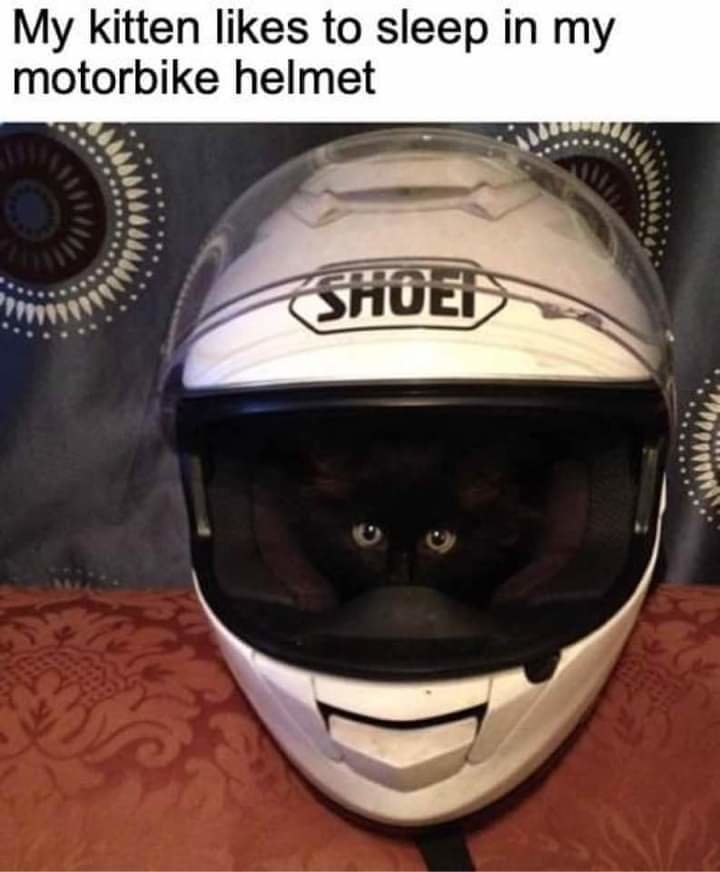 FB_IMG_1698721231758.jpg