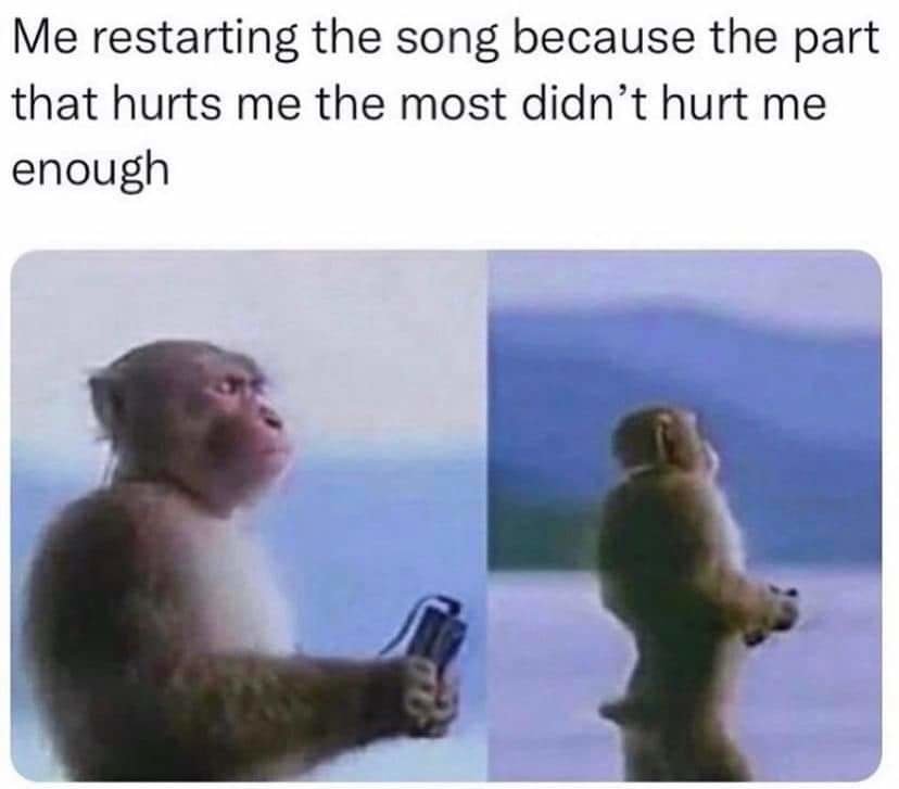 FB_IMG_1699828756085.jpg