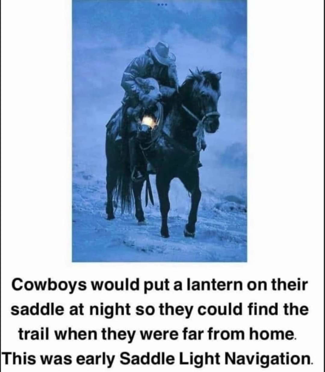 FB_IMG_1701231722933.jpg