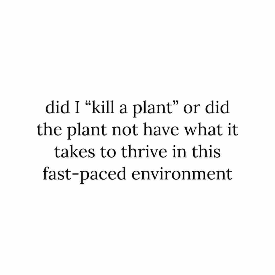 FB_IMG_1702027680026.jpg