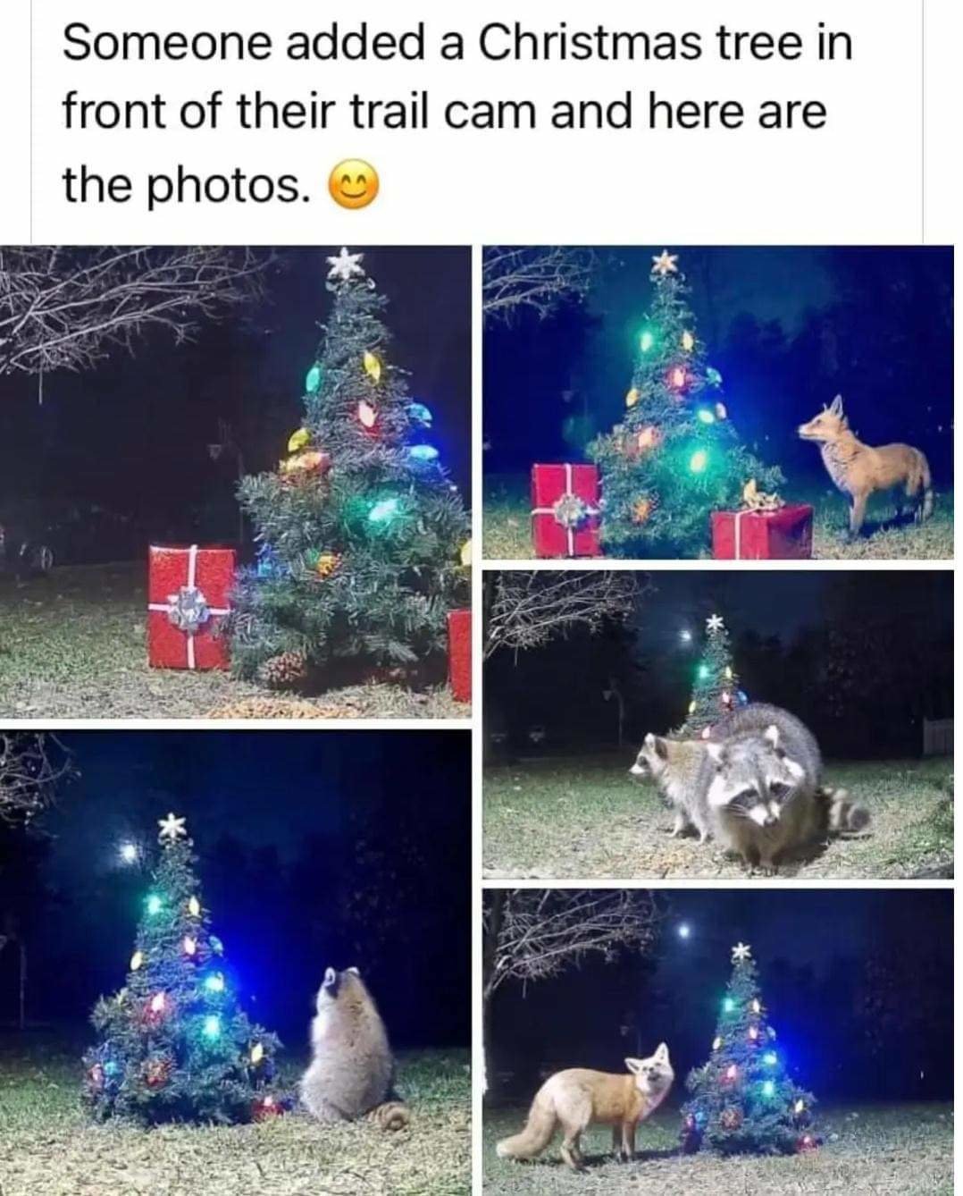 FB_IMG_1703045456188.jpg
