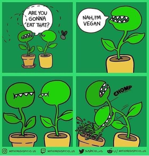 FB_IMG_1703553006419.jpg