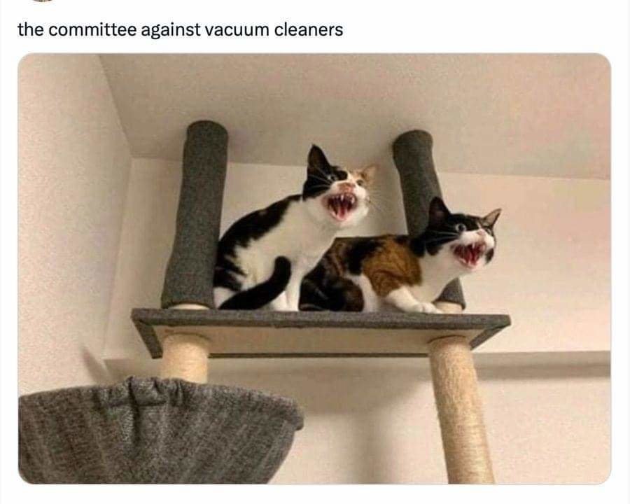 FB_IMG_1705293891031.jpg