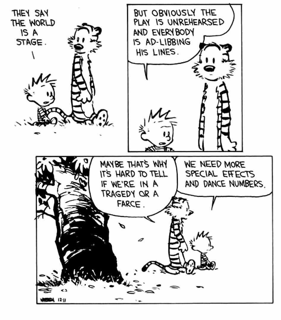 FB_IMG_1705460956973.jpg