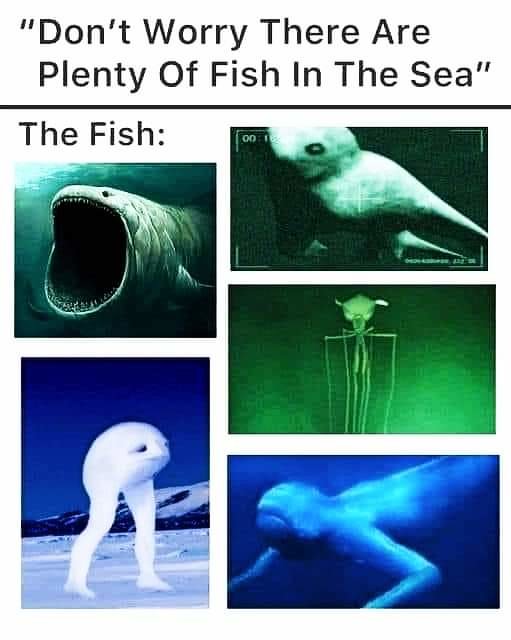 FB_IMG_1709133946471.jpg