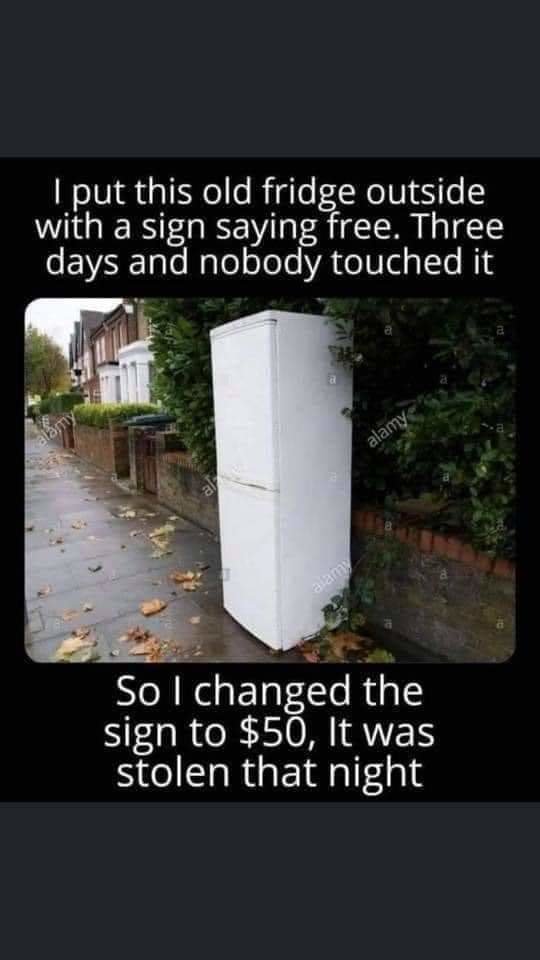 FB_IMG_1710557519222.jpg